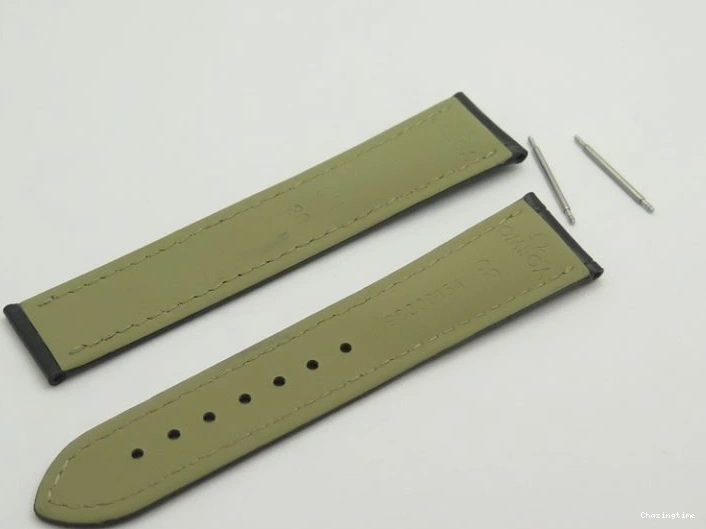 0104 Vibrant Planet Ocean Professional SS V6F 37mm Ladies Ceramic Bezel On Black Leather Strap A 8257